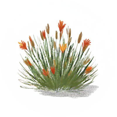 Wize Ideation flax plant logo